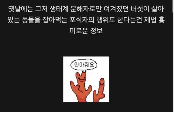 캡처_2025_05_02_10_18_26_828