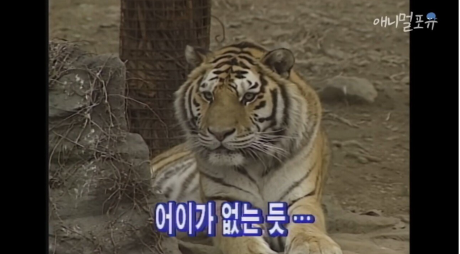 캡처_2025_05_14_18_23_07_547